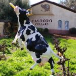 Castoro Cellars Paso Robles Central Coast Wines Daisy's Dream